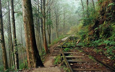 宜蘭包車旅遊｜太平山森林、懷古步道、鳩之澤溫泉泡湯，兩天一夜包車推薦