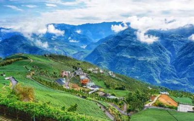 嘉義包車旅遊│嘉義包車旅遊懶人包│嘉義景點包車