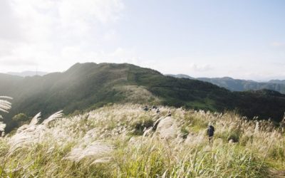 2019 新北景點包車旅遊│貢寮包車旅遊│貢寮包車推薦