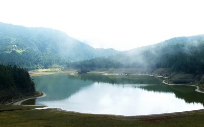 太平山包車旅遊-宜蘭太平山包車一日遊推薦您去宜蘭大同鄉，享受山中無盡的芬多精