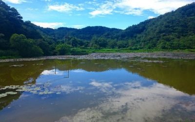 台東包車旅遊│台東旅遊包車一日遊、自由行推薦