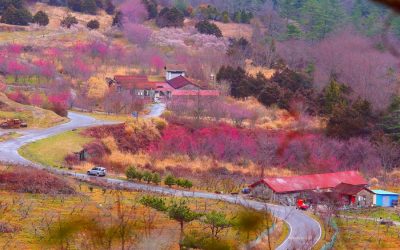 宜蘭旅遊包車、台北包車旅遊優惠中