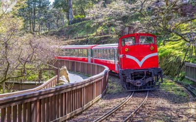 阿里山包車旅遊、阿里山包車自由行推薦